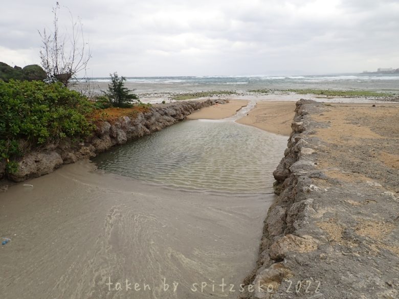 2022/2/20現在沖縄恩納村マリブビーチ西端の川の軽石状況