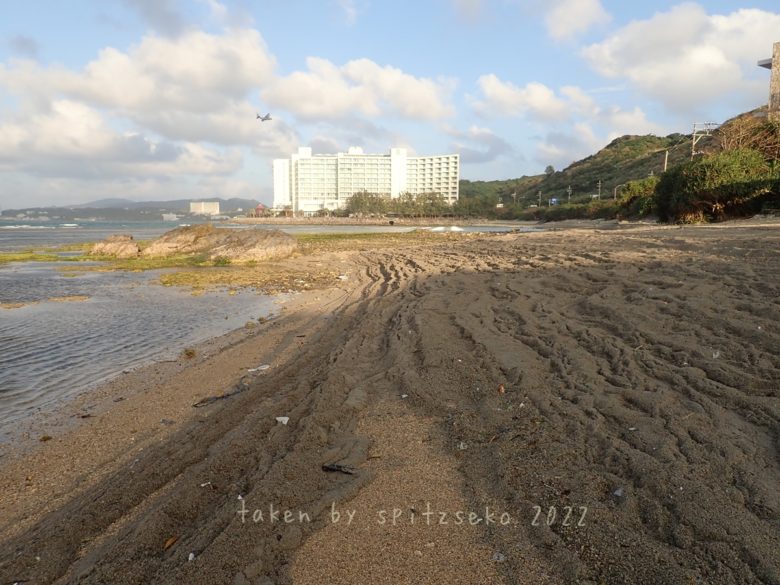 2022/2/8夕方現在、沖縄歩恩納村マリブビーチ東端に溜まってしまった軽石状況