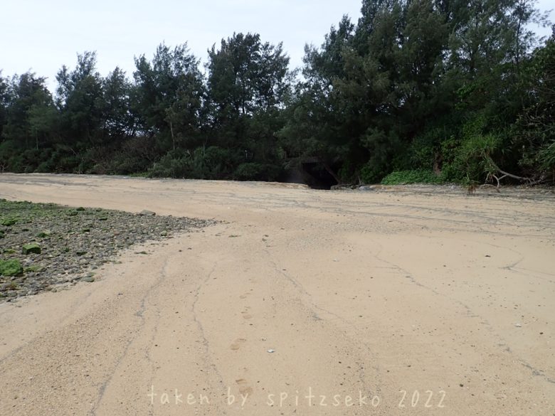 2022/2/21現在、沖縄恩納村なかゆくいビーチ軽石状況