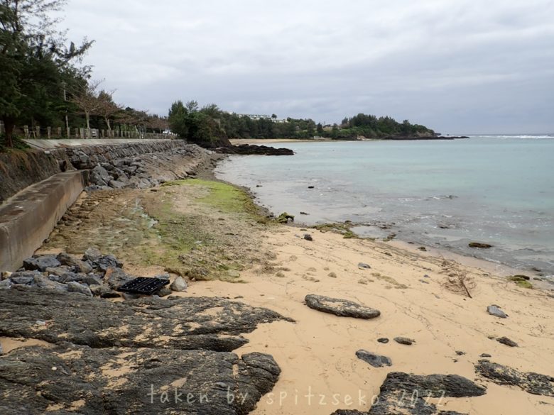 2022/2/21現在、沖縄恩納村ハマバルビーチの軽石状況