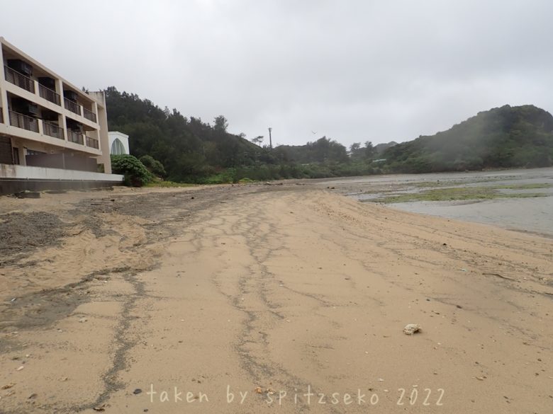 2022/2/23現在、沖縄恩納村マリブビーチの軽石状況