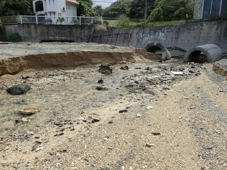 2022/2/24現在、沖縄恩納村マリブビーチ東端の川の軽石状況