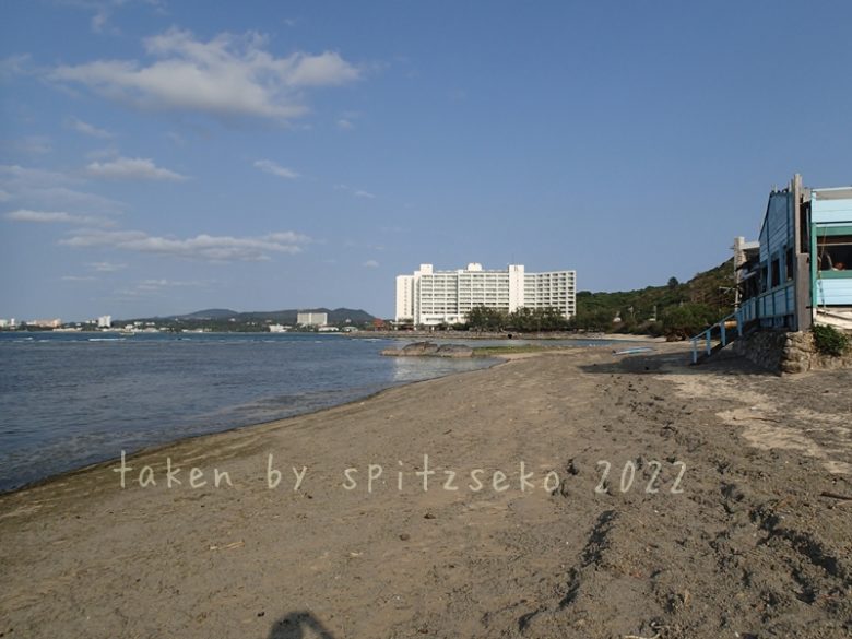 2022/3/3現在、沖縄恩納村マリブビーチ正面、出入り口付近の軽石状況