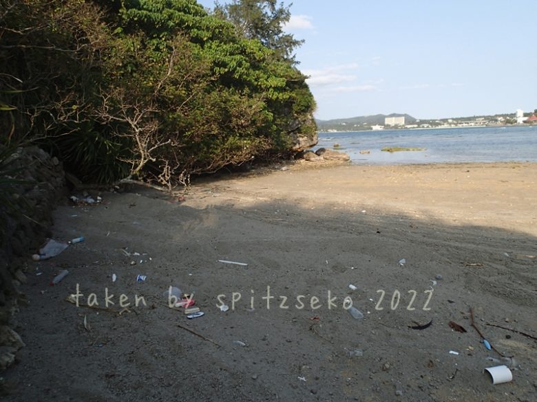 2022/3/3現在、沖縄恩納村マリブビーチ最西端の軽石状況