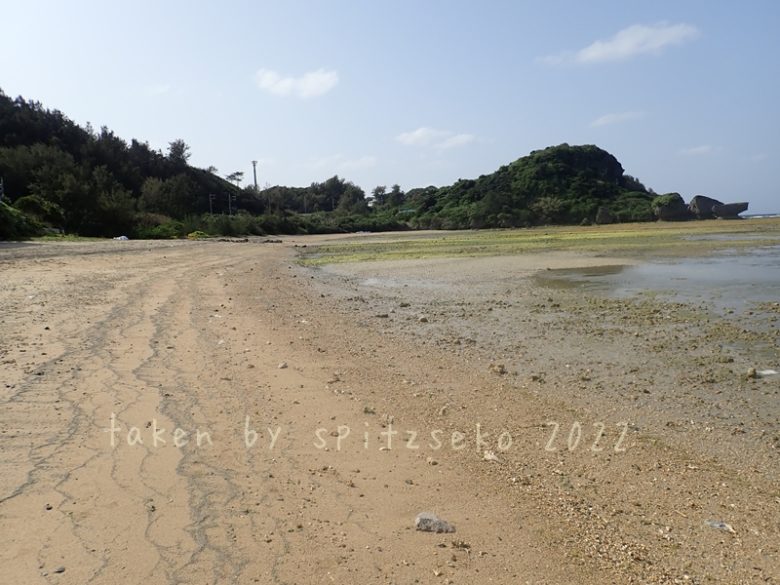 2022/3/6現在、沖縄恩納村マリブビーチ正面、出入り口付近の軽石状況