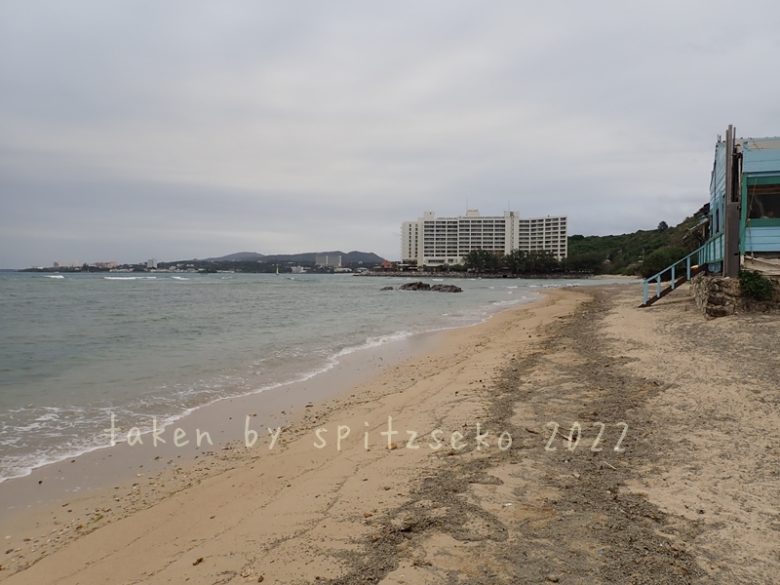 2022/3/7現在、沖縄恩納村マリブビーチ正面、出入り口付近の軽石状況