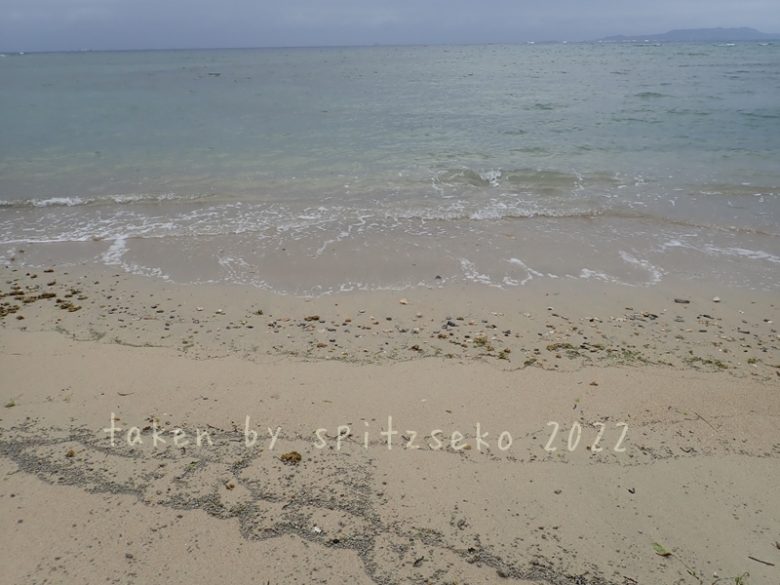2022/3/7現在、沖縄恩納村マリブビーチ正面、出入り口付近の軽石状況