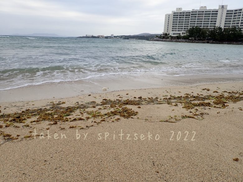 2022/3/7現在、沖縄恩納村マリブビーチ最東端の軽石状況