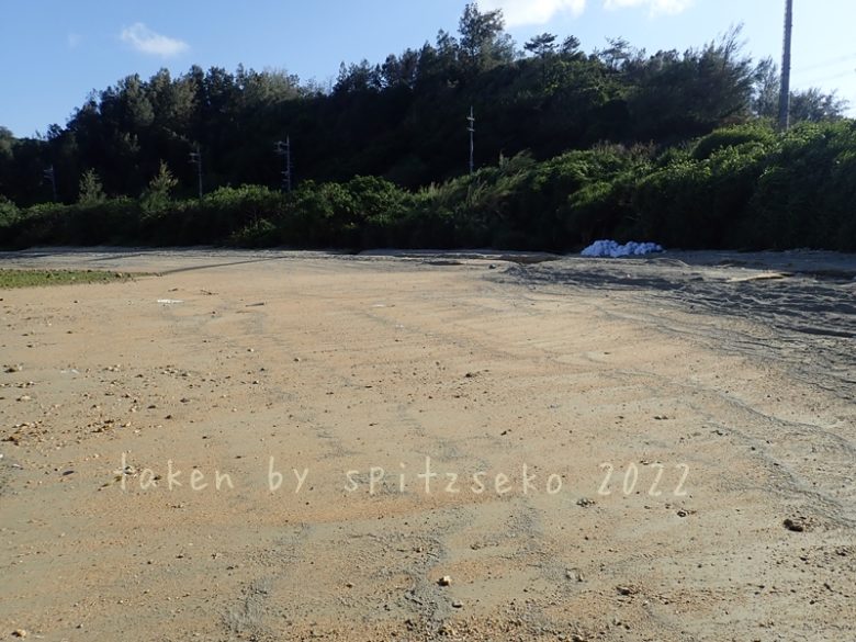 2022/3/8現在、沖縄恩納村マリブビーチ最西端の軽石状況