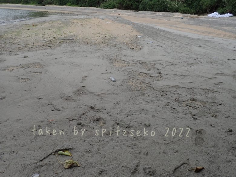 2022/3/11現在、沖縄恩納村マリブビーチ最西端の軽石状況