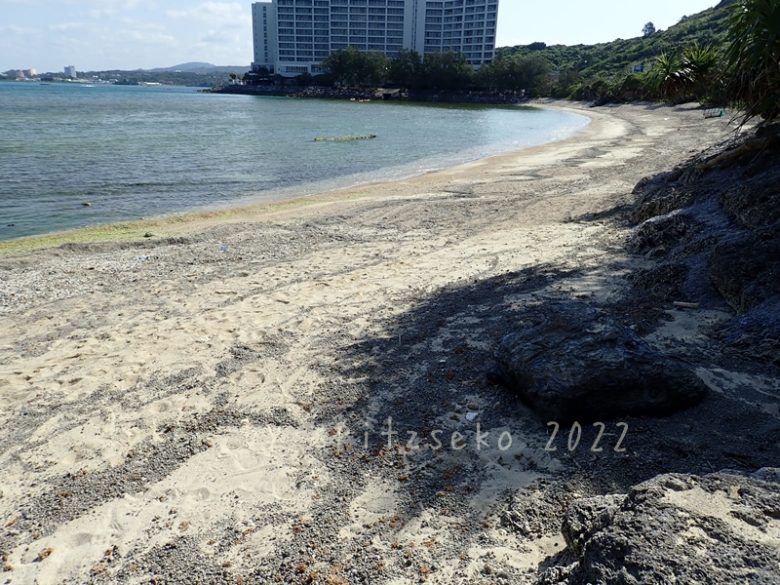 2022/3/12現在、沖縄恩納村マリブビーチ最東端の軽石状況
