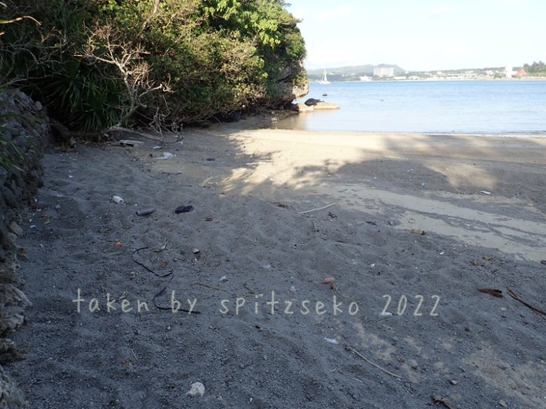 2022/3/13現在、沖縄恩納村マリブビーチ最西端の軽石状況