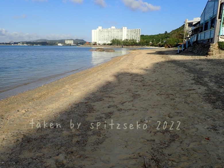2022/3/13現在、沖縄恩納村マリブビーチ正面、出入り口付近の軽石状況