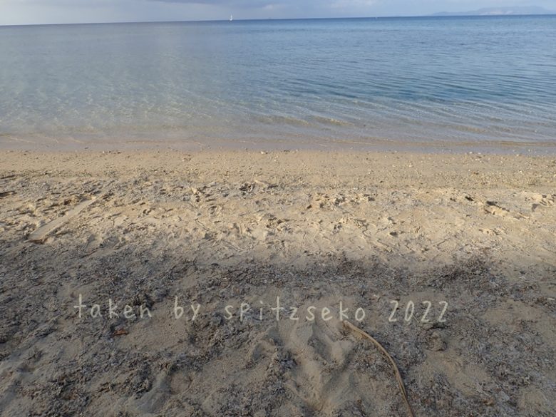 2022/3/13現在、沖縄恩納村マリブビーチ正面、出入り口付近の軽石状況