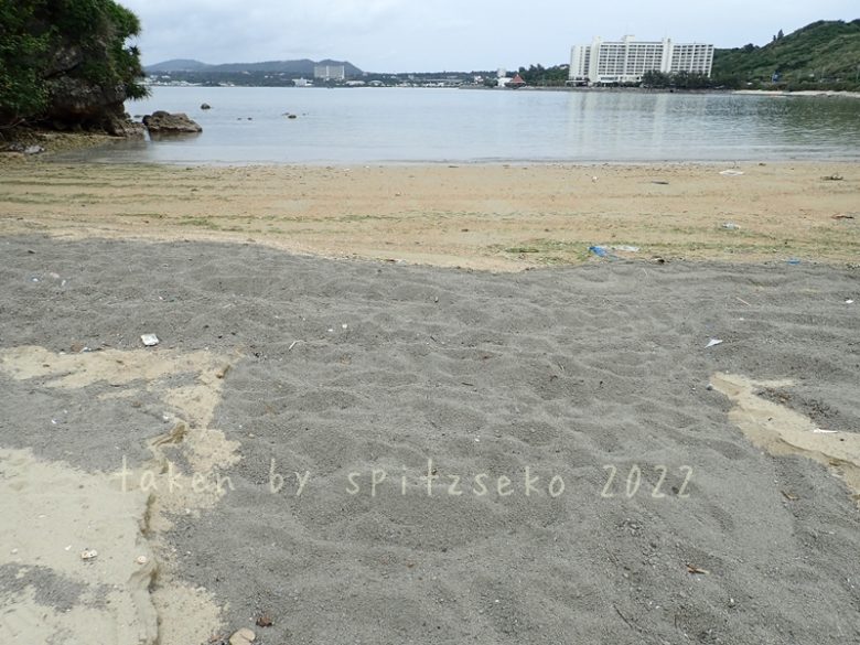2022/3/15現在、沖縄恩納村マリブビーチ最西端の軽石状況