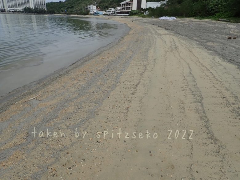 2022/3/15現在、沖縄恩納村マリブビーチ最西端の軽石状況