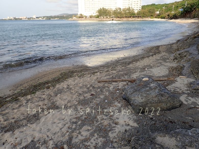2022/3/16現在、沖縄恩納村マリブビーチ最東端の軽石状況
