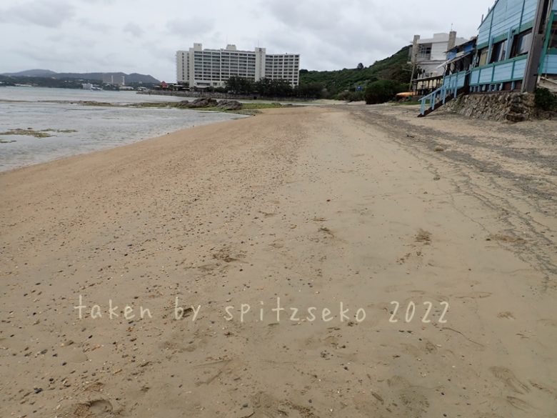 2022/3/17現在、沖縄恩納村マリブビーチ正面、出入り口付近の軽石状況