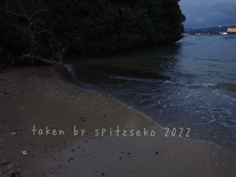 2022/3/19現在、沖縄恩納村マリブビーチ最西端の軽石状況