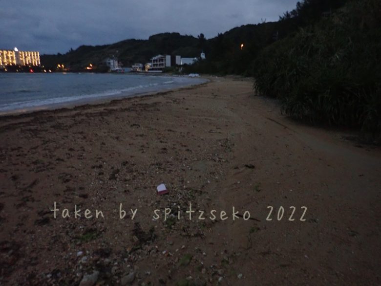 2022/3/19現在、沖縄恩納村マリブビーチ最西端の軽石状況