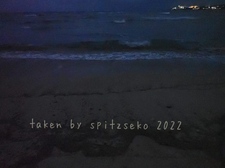 2022/3/19現在、沖縄恩納村マリブビーチ最東端の軽石状況