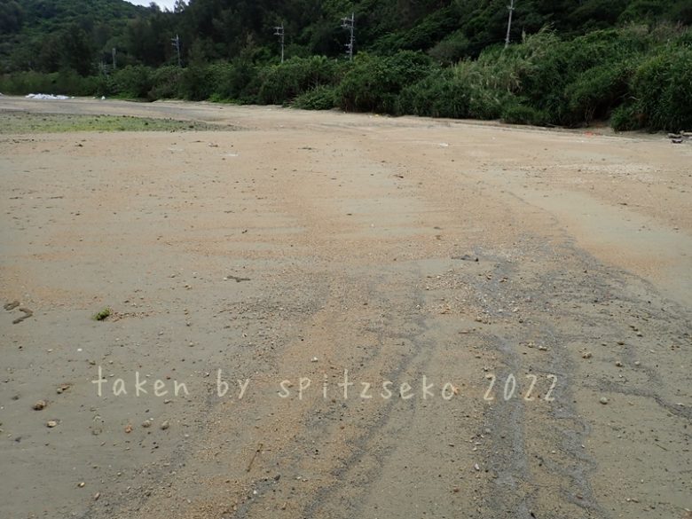 2022/3/20現在、沖縄恩納村マリブビーチ最西端の軽石状況