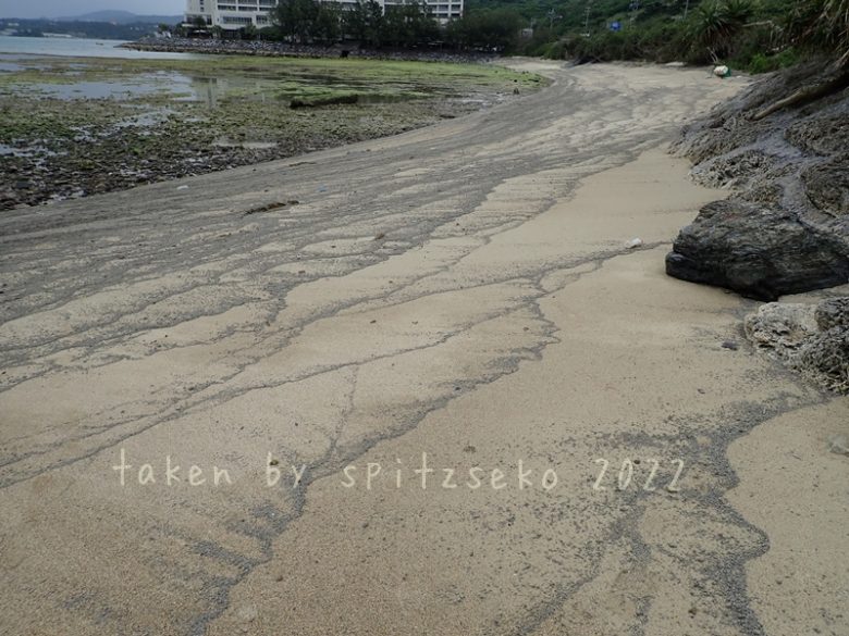 2022/3/20現在、沖縄恩納村マリブビーチ最東端の軽石状況