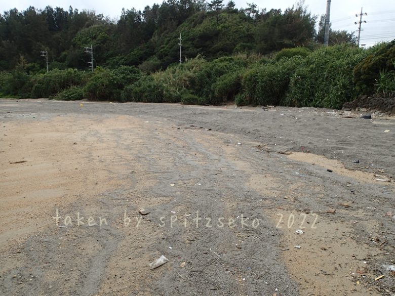 2022/3/21現在、沖縄恩納村マリブビーチ最西端の軽石状況
