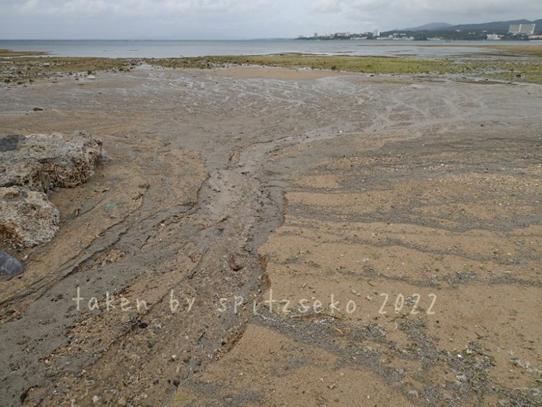 2022/3/21現在、沖縄恩納村マリブビーチ西端の川の軽石状況
