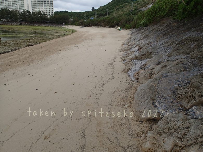 2022/3/21現在、沖縄恩納村マリブビーチ最東端の軽石状況