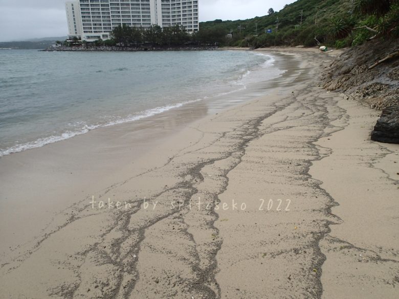 2022/3/22現在、沖縄恩納村マリブビーチ最東端の軽石状況
