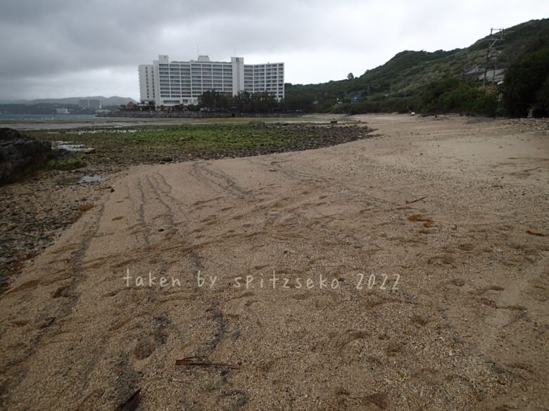 2022/3/23現在、沖縄恩納村マリブビーチ東端の軽石状況