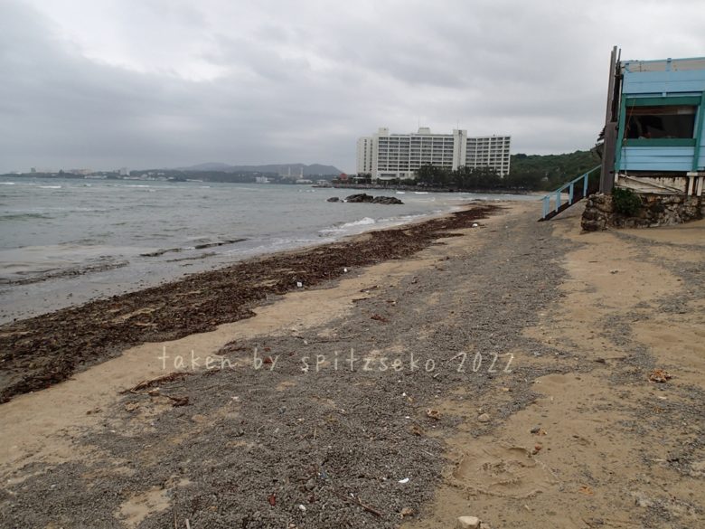 2022/3/27現在、沖縄恩納村マリブビーチ正面、出入り口付近の軽石状況