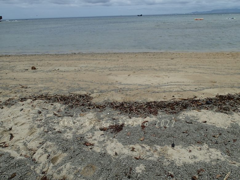 2022/3/29現在、沖縄恩納村マリブビーチ正面、出入り口付近の軽石状況