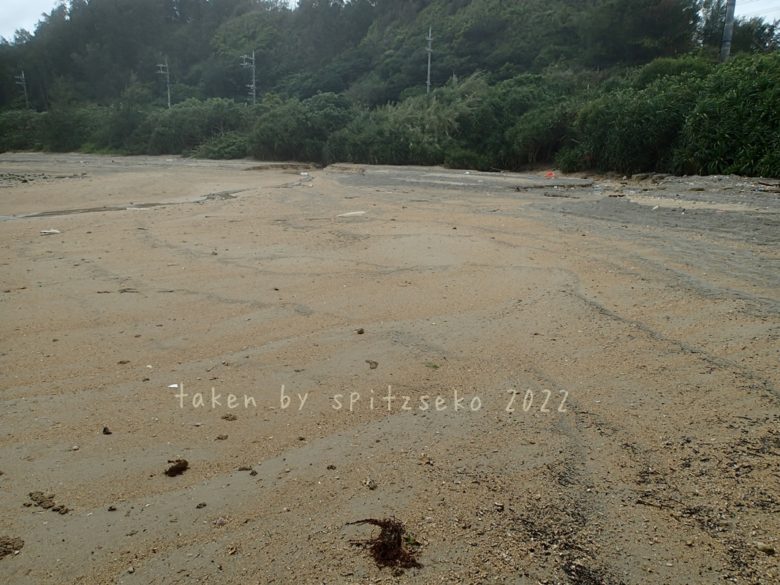 2022/3/29現在、沖縄恩納村マリブビーチ最西端の軽石状況