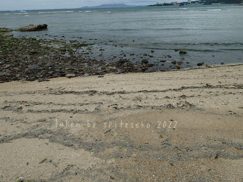 2022/3/29現在、沖縄恩納村マリブビーチ最東端の軽石状況