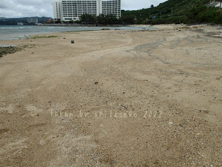 2022/3/29現在、沖縄恩納村マリブビーチ東端の軽石状況