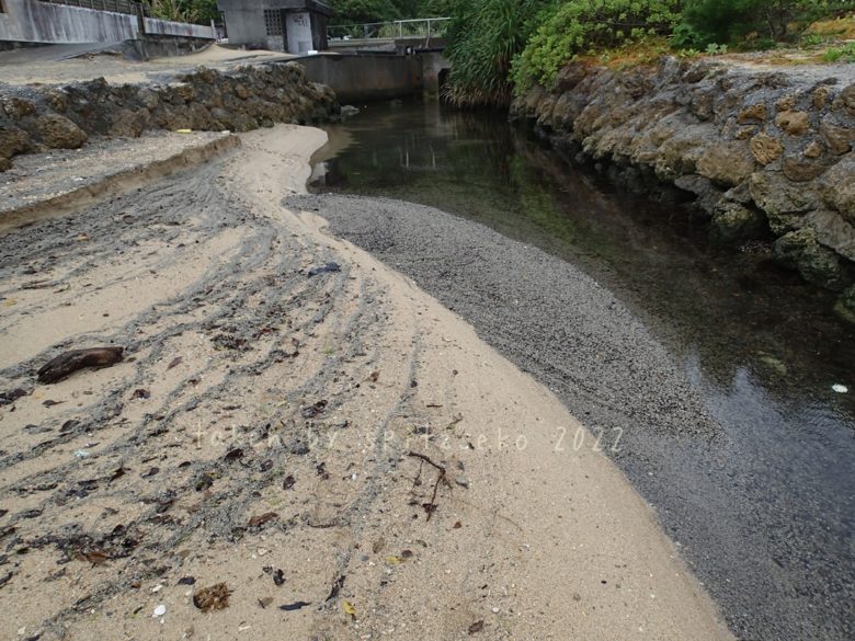 2022/3/30現在、沖縄恩納村マリブビーチ西端の川の軽石状況