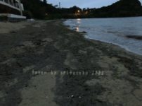 2022/4/2現在、沖縄恩納村マリブビーチ正面、出入り口付近の軽石状況