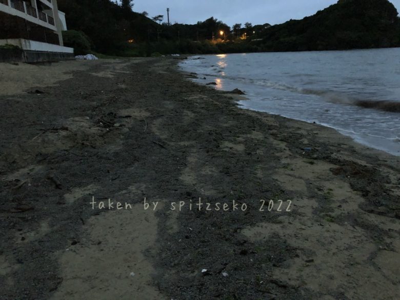2022/4/2現在、沖縄恩納村マリブビーチ正面、出入り口付近の軽石状況