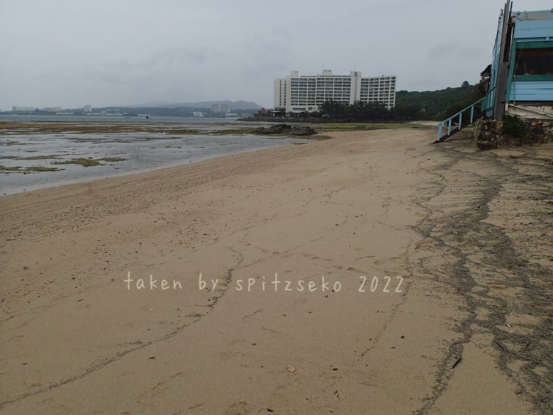 2022/4/3現在、沖縄恩納村マリブビーチ正面、出入り口付近の軽石状況