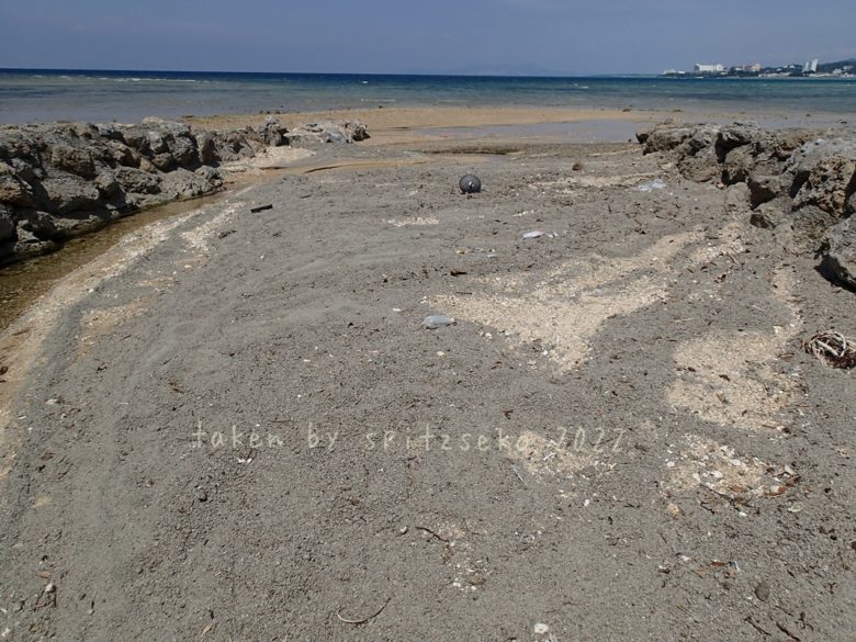 2022/4/7現在、沖縄恩納村マリブビーチ西端の川の軽石状況