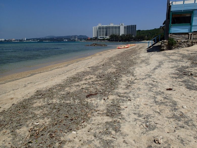 2022/4/9現在、沖縄恩納村マリブビーチ正面、出入り口付近の軽石状況