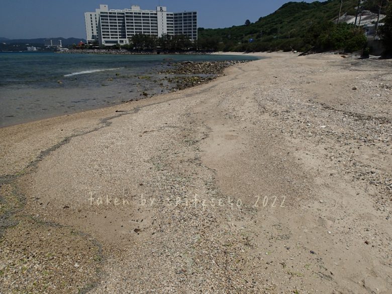 2022/4/9現在、沖縄恩納村マリブビーチ東端の軽石状況