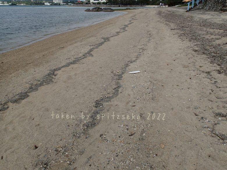 2022/4/10現在、沖縄恩納村マリブビーチ正面、出入り口付近の軽石状況