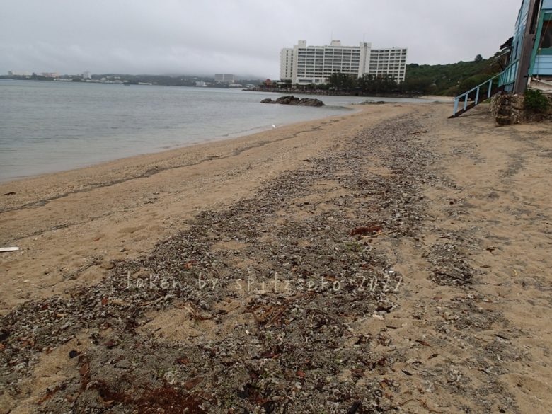 2022/4/11現在、沖縄恩納村マリブビーチ正面、出入り口付近の軽石状況