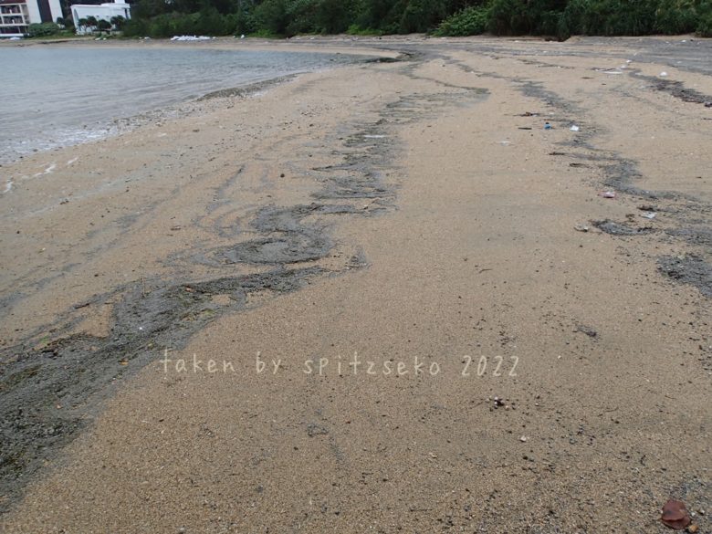 2022/4/11現在、沖縄恩納村マリブビーチ最西端の軽石状況