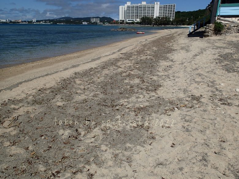 2022/4/13現在、沖縄恩納村マリブビーチ正面、出入り口付近の軽石状況