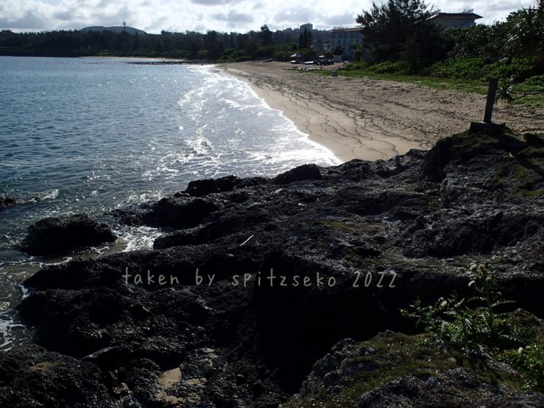 2022/4/15現在、沖縄恩納村ハマバルビーチの軽石状況