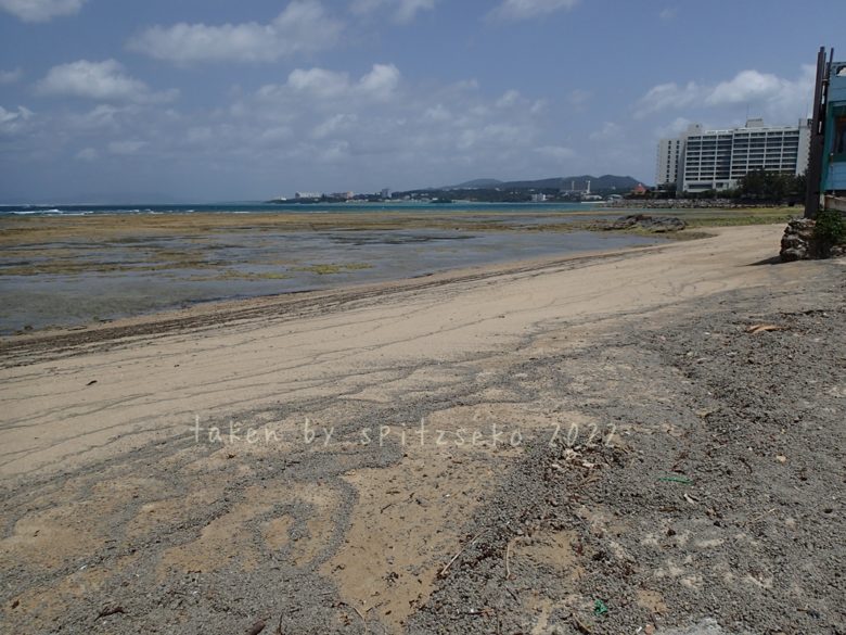 2022/4/16現在、沖縄恩納村マリブビーチ正面、出入り口付近の軽石状況